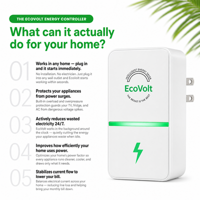 EcoVolt Dirty Energy Saver