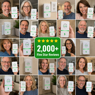 EcoVolt Dirty Energy Saver
